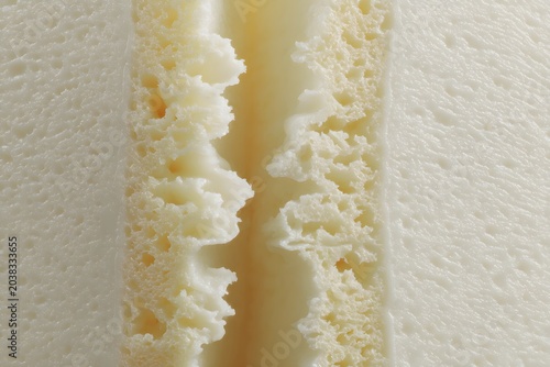 Close-up of a texture that looks like a cross-section of bone or coral, with intricate, porous formations