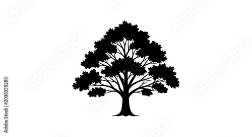 Tree Silhouette Black Icon Graphic.