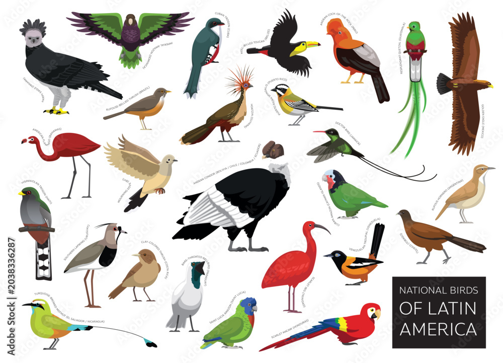 Fototapeta premium Latin America National Birds Set Cartoon Vector Character