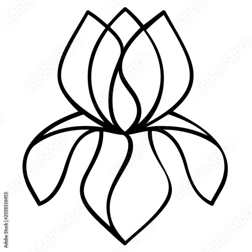 Graceful wiry contour of an iris in bloom — ruffled recurved petals splaying outward from a central column — rendered in stark black ink for spa identity systems, botanical stationery,