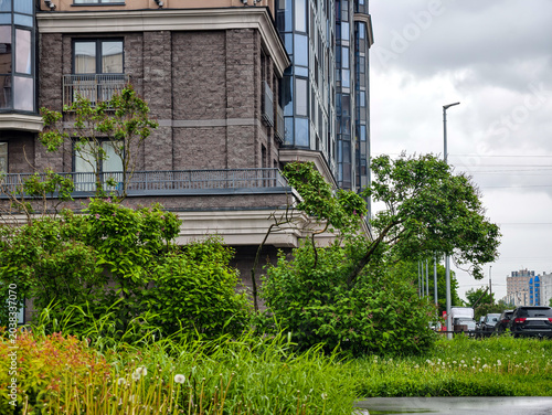 Foto Urban greening in front of a modern facade