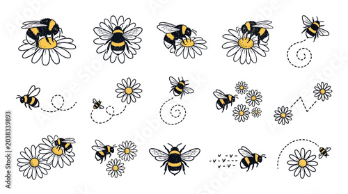 Collection of hand drawn bumblebee and daisy flower sketches in vintage engraving style on white background, provides artistic elements for organic branding or illustrating nature projects