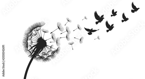 Photos Dandelion seeds flying with birds.