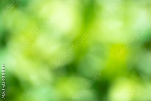 bokeh of green grass as background. blurred landscape, template for design
