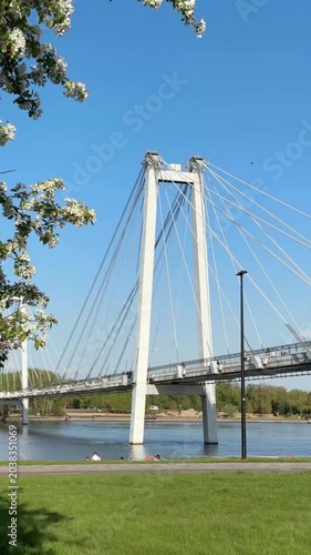 Spring landscape of the city of Krasnoyarsk - blossom apple tree and Cable-stayed bridge to Tatyshev Island. 4K footage