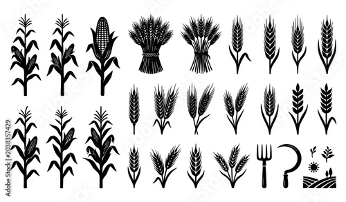 Agricultural harvest silhouette vector set corn stalk and wheat ear illustrations