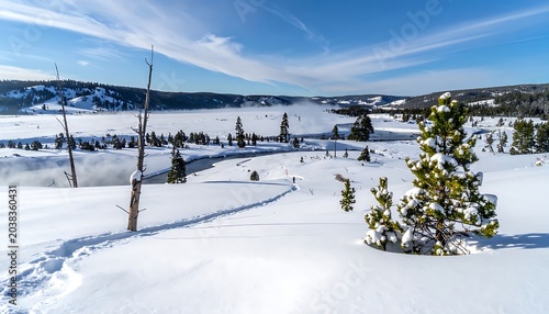 A serene snowy landscape with trees and a vast frozen terrain