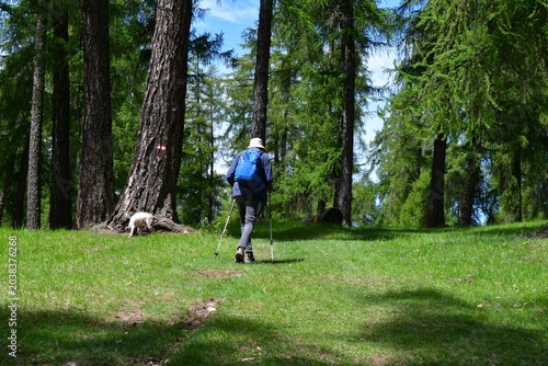 Mann und sein Lagotto Romagnolo Hund wandern bei Truden in Südtirol 
