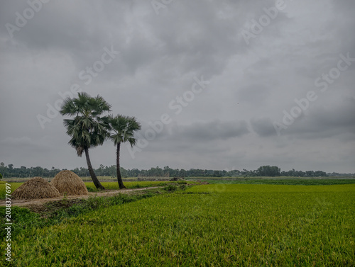 Beautiful Village Landscape Amazing Bangladesh