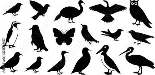 Foto Wild birds and butterfly black silhouette vector icon collection including owl,