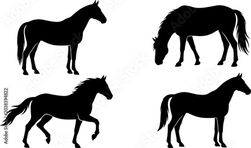 Photos Horse Silhouette Set Featuring Standing Grazing and Walking Equine Poses for Nat