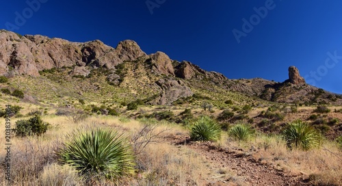 hiking the scenic soledad canyon trail on a sunny winter day in the organ peaks-desert peaks national monument near las cruces in southern new mexico