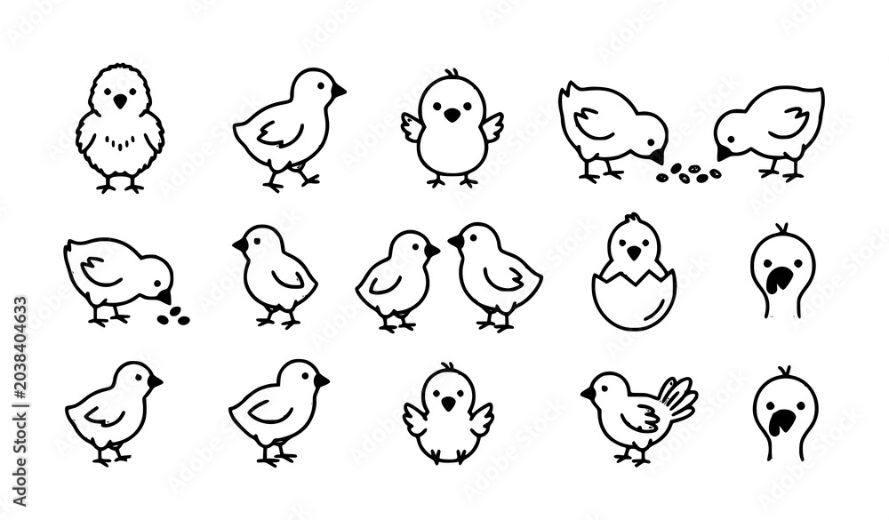Fototapeta premium Hand Drawn Cute Chick and Baby Chicken Outline Icon Collection for Farm Animal and Poultry Design Projects
