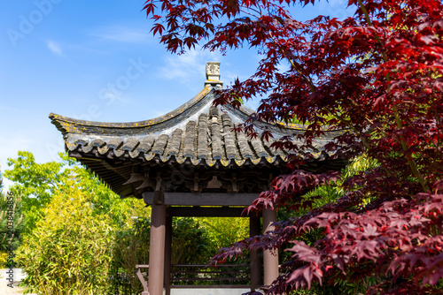 Front view of a beautiful pagoda pavilion against the blue sky and green trees and red maple in Chinese garden in a public park