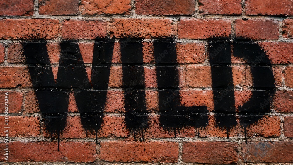 Fototapeta premium The word wild in black graffiti on an old brick wall.