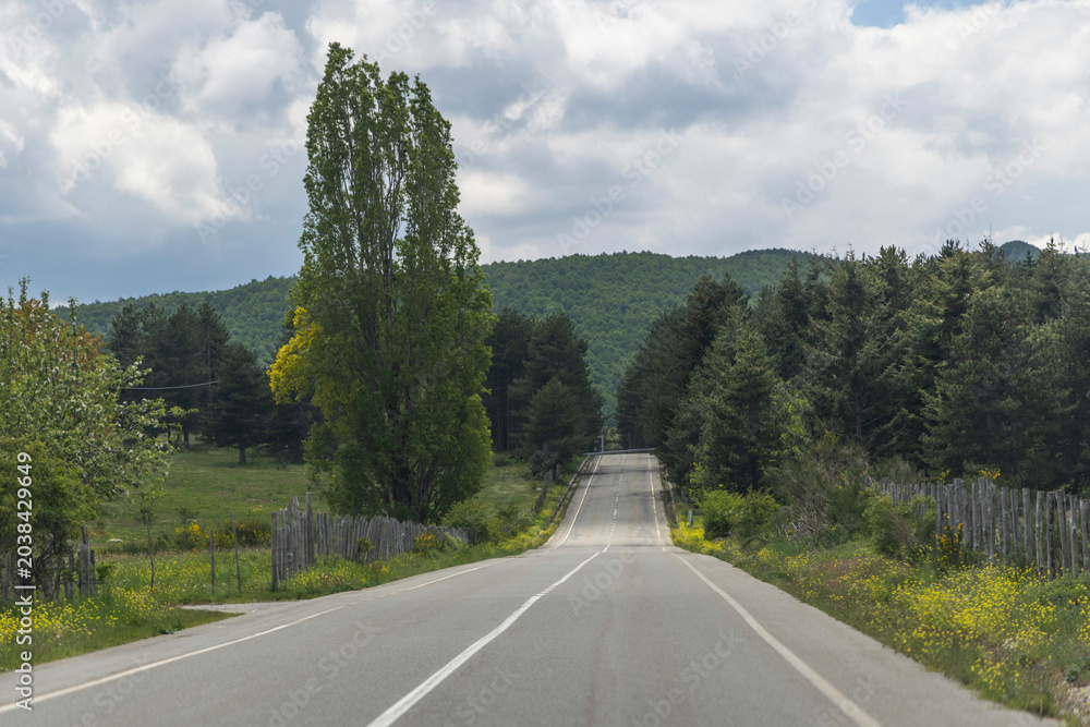 Obraz premium Road in Calabria, Italy