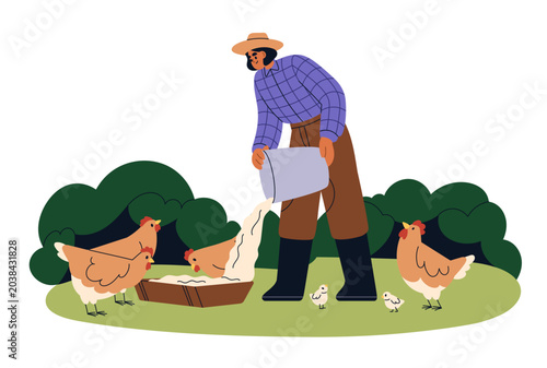 Farmer feeding chickens. Female farm worker pouring grains from bucket into c...