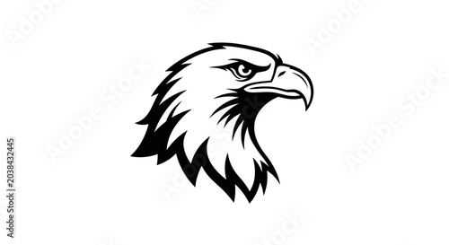 Photos Eagle Head Silhouette - Fierce Predator, Wildlife Symbol