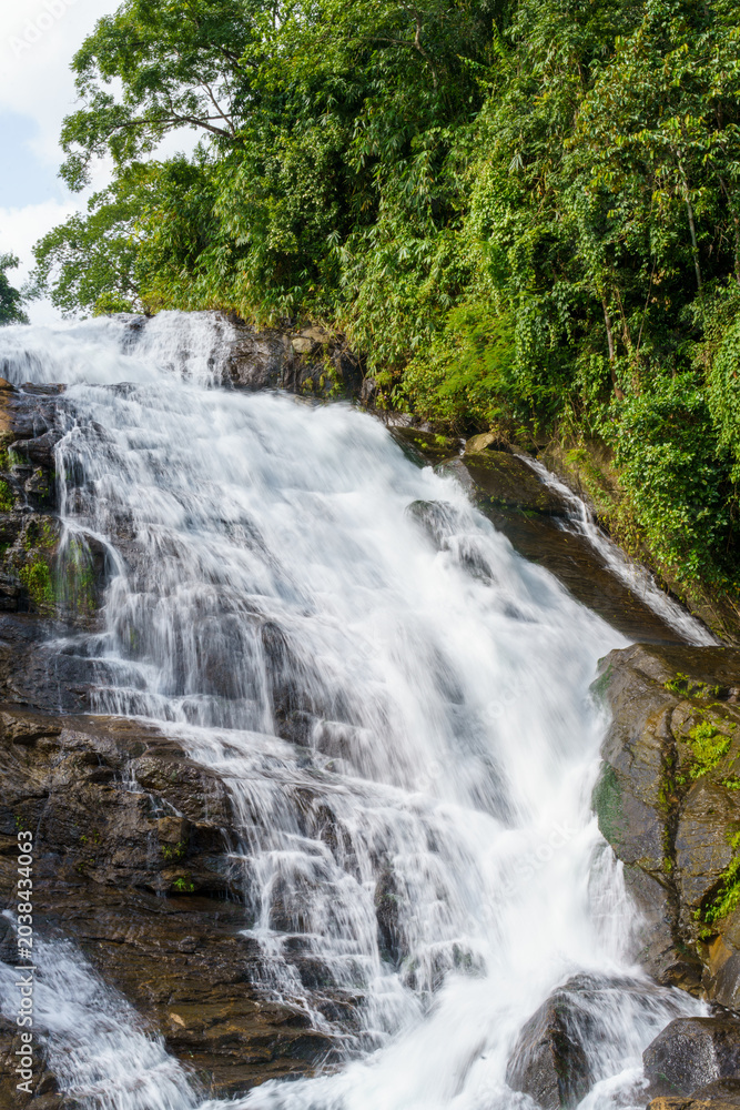 Obraz premium Water cascades over mossy stones, rushing down a rocky cliff