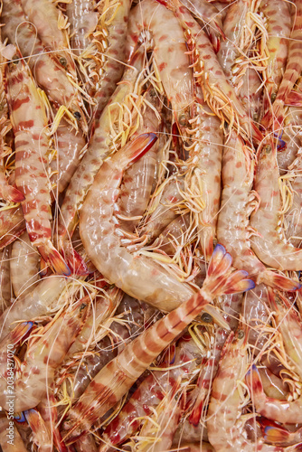 Raw tiger prawns at fish market close up texture