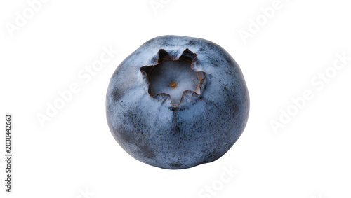 Schilderij op canvas Single ripe blueberry with star-shaped calyx
