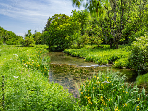 Derbyshire trout stream in May