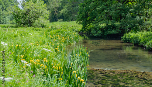 Derbyshire trout stream in May
