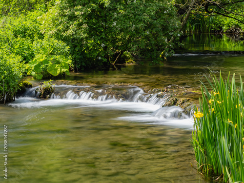 Derbyshire trout stream in May