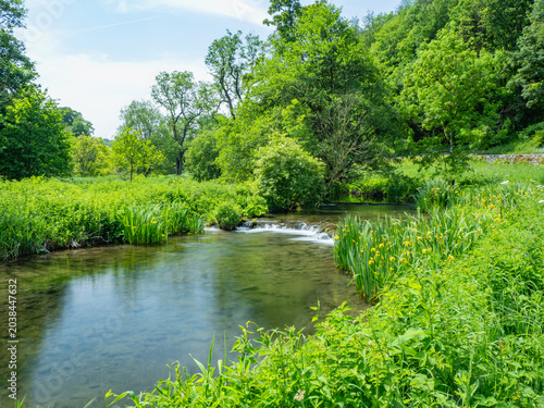 Derbyshire trout stream in May