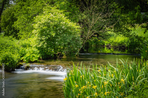 Derbyshire trout stream in May