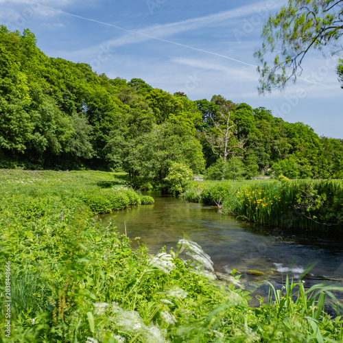 Derbyshire trout stream in May