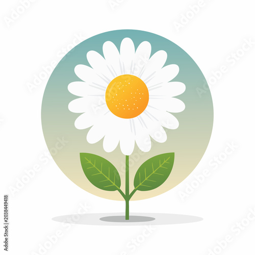 Stylized Daisy Flower Illustration