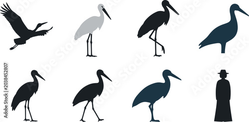 Tableau sur toile Stork Bird Silhouette Vector Set with Wildlife Standing and Flying Bird Icons