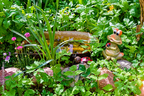 View of a somewhat overgrown garden that serves as a functioning ecosystem.