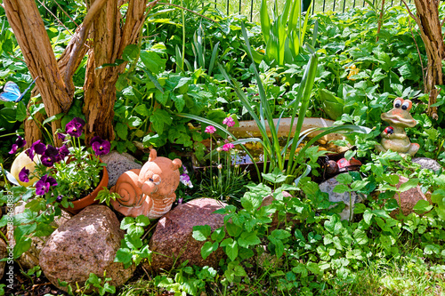 View of a somewhat overgrown garden that serves as a functioning ecosystem.