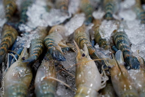 High angle view of raw and fresh Shrimp  displayed on ice tray in a traditional wet market in Thailand.
