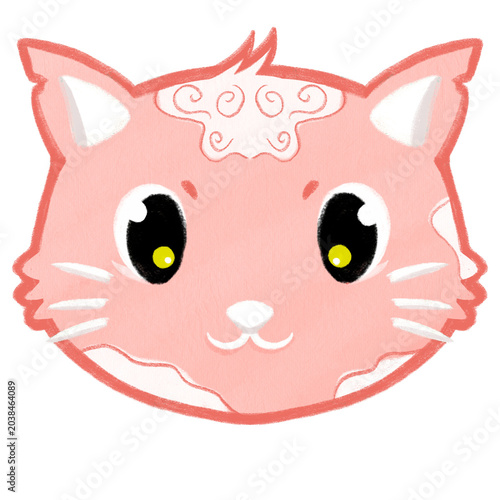 pink cat animal 