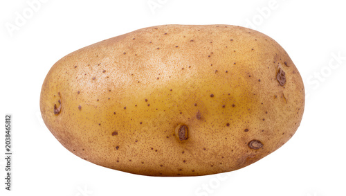Fotografija Whole raw potato with brown skin and small eyes