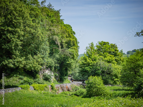 Winding road through beautiful countryside