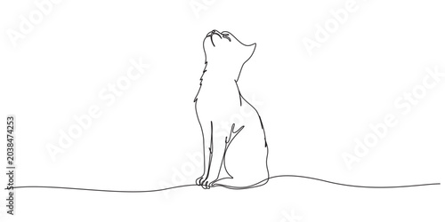 Foto Cat one continuous line art, Vector illustration, One line art, Line art graphic style,Cat continuous line drawing from back view for pet care and animal branding