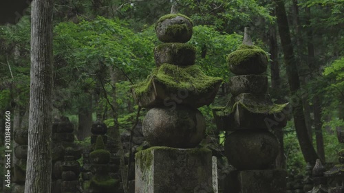 Moss-Covered Memorial Stupas at Okunoin, Koyasan, Koya Town, Wakayama, Japan　「高野山・奥之院の供養塔の苔」和歌山県高野町