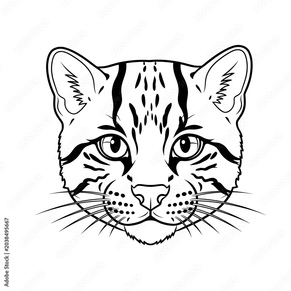 Fototapeta premium Ocelot Face Line Art Illustration