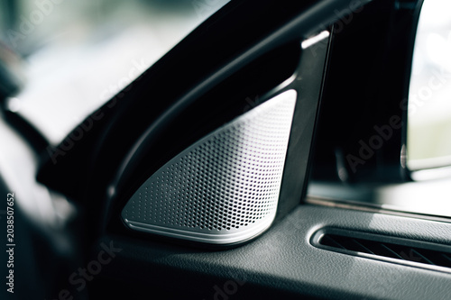 Vászonkép Speaker in the car door