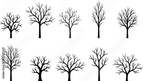 Konstfotografi Stylized leafless tree silhouette collection featuring diverse branching pattern
