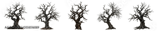 Haunting Ancient Bare Tree Collection Isolated on White Background for Gothic, Fantasy, and Seasonal Nature Design - High-Resolution Stock