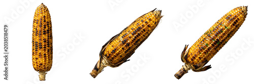 Quadro su tela Fresh Roasted Corn on the Cob Set: Delicious Grilled Sweet Corn Cobs Isolated on