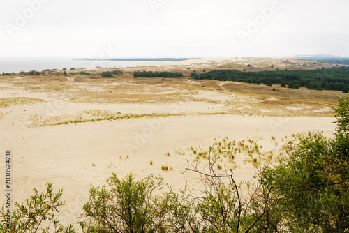 Billede på lærred Beautiful view of Dead Dunes, in Lithuania
