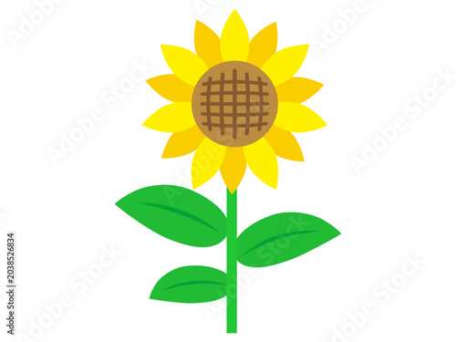 ひまわりの花のイラスト素材