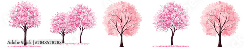 stylized cherry blossom trees in full bloom, with fallen petals, isolated on black, representing spring and renewal in illustration.