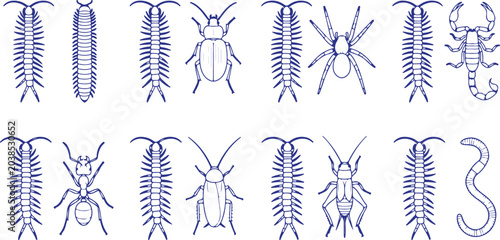 Bild auf Leinwand Collection of insect and bug silhouettes including ants beetles centipedes and spiders for graphic design